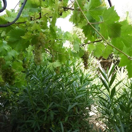 Casa Costa Corallina Mare Olbia