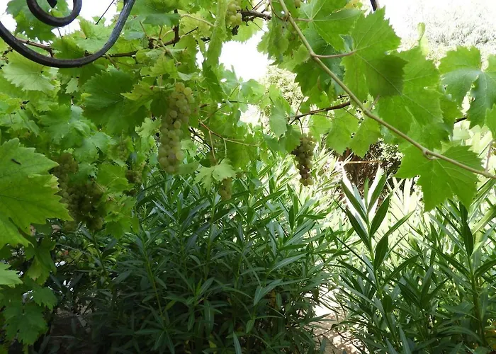 Casa Costa Corallina Mare Ольбия